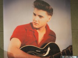 Elvis Ausstellung im 48er